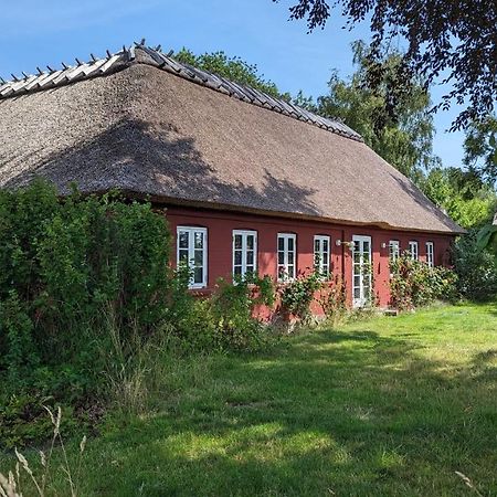 לינה וארוחת בוקר Stubbekøbing Under Valnodden מראה חיצוני תמונה