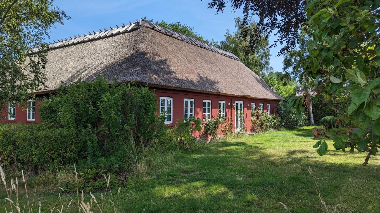 לינה וארוחת בוקר Stubbekøbing Under Valnodden מראה חיצוני תמונה